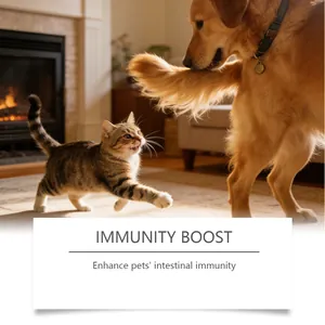 Happy Golden Retriever and tabby kitten playing in a cozy living room with immunity boost text