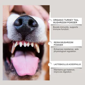 Close-up detail of dog dental care powder ingredients: Turkey Tail, Reishi, and Probiotics.
