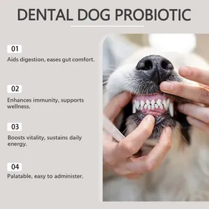 Close-up of dog's teeth with dental probiotic benefits for digestion and immunity support.