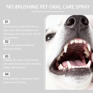 Detail infographic of pet oral care spray showing healthy dog teeth and key benefits