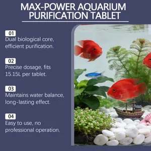 Detaillierte Vorteile von Aquarienreinigungstabletten mit Sicht auf ein Aquarium
