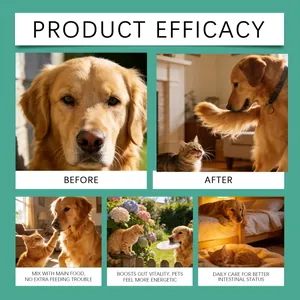 Efficacy demonstration of pet teeth cleaning powder for cats and dogs in daily scenarios