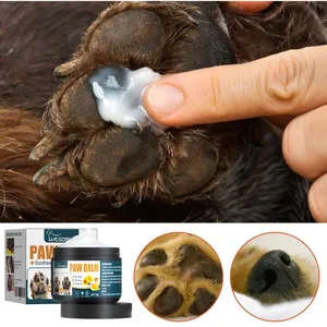 Close-up showing application of moisturizing pet paw balm on dog's dry paw pad