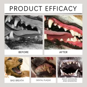 Dog dental care powder efficacy showing before and after plaque removal