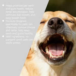 Detail showing healthy dog teeth with English text explaining dental spray benefits