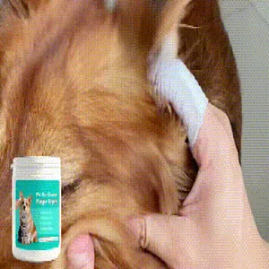 Vista detallada del uso de una toallita de dedo para limpiar la oreja de un perro.