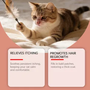 Close-up of cat skin care benefits for relieving itching and hair regrowth support.
