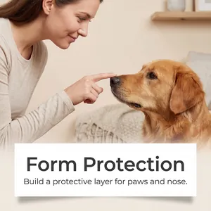 Cire de protection pour pattes et truffe de chien, scène chaleureuse avec le maître.