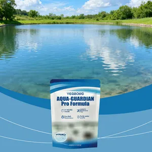 Vorderansicht der YEGBONG Aqua-Guardian Pro Formel Packung mit Wasserreinigungsfunktionen