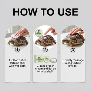 Guide détaillé en 3 étapes pour appliquer la crème hydratante tortue EelJoy.
