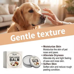 Détail du baume EelJoy pour truffe et pattes de chien appliqué sur un retriever.