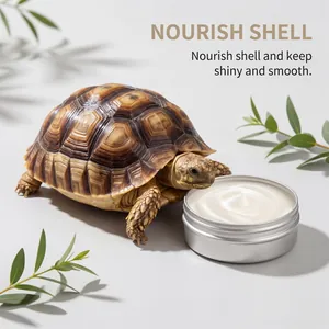 Texture crémeuse blanche du baume hydratant pour carapace de tortue en boîte