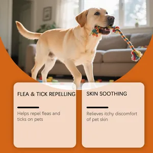Infografía que muestra los beneficios antipulgas y calmantes para la piel del champú para perros