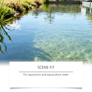 Klares Teichwasser im Freien zeigt die Wirkung von Aquarienwasserreiniger-Pulver