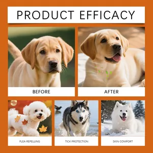 Detalle de eficacia de champú para mascotas con resultados antes y después en perros.