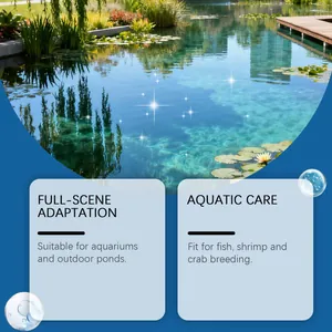 Detailansicht eines klaren Teichs für Aquarienpflegepulver für Fische und Garnelen