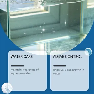 Detailansicht der Aquarium-Wasserpflege und Algenkontrolle für kristallklares Wasser
