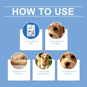 Guide d'utilisation du shampooing mousse sans rinçage EelJoy montrant les étapes.