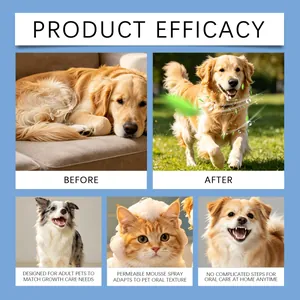 Mousse de nettoyage sans rinçage pour chiens et chats résultats avant et après
