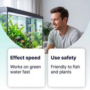 Nahaufnahme eines sauberen Aquariums mit gesunden Fischen und Pflanzen zur Algenentfernung.