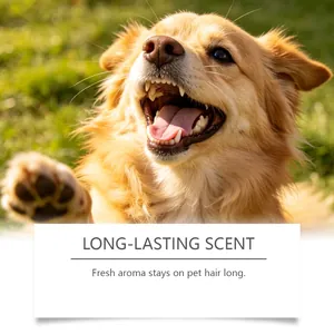 Chien heureux montrant l'effet du shampooing en mousse parfumée longue durée.