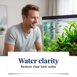 Lifestyle-Ansicht von kristallklarem Aquarienwasser nach Algenentfernung.