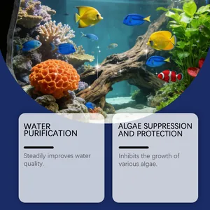 Effektive Algenentferner-Tabletten für die Wasserreinigung und den Schutz in Aquarien.