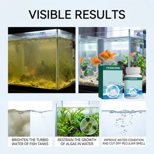 Sichtbare Ergebnisse der YEGBONG Tabletten zur Klärung von trübem Aquarienwasser