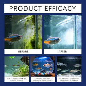 Detaillierter Vergleich der Aquarienreinigung vor und nach der Anwendung von Algentabletten