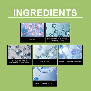 Infografik der Inhaltsstoffe von Aquarien-Algenmitteln: Wasser, Bakterien, Enzyme und Chemikalien.