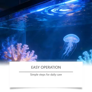 Detailansicht von klarem Aquarienwasser mit einer Qualle und farbenfrohen Korallen