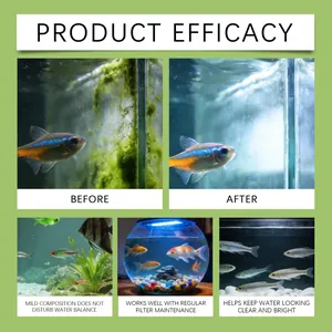 Detaillierte Vorher-Nachher-Wirkung von Aquarien-Algenvernichter für klares Wasser.