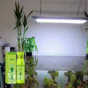 YEGBONG aquarium water conditioner purifier bottle and box for clear fish tank water