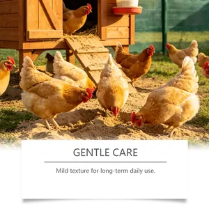 Healthy chickens on a farm illustrating the use of gentle care nutritional supplements
