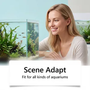 Detail showing crystal clear aquarium water after using water purifier in home scene