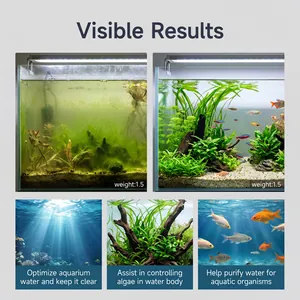 Detail showing effective aquarium water purifier results before and after algae control.