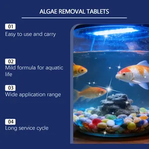 Algenentfernungstabletten für Aquarien: Merkmale für sauberes Wasser und gesunde Fische