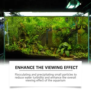 Lush planted aquarium with clear water demonstrating effective water clarifier powder