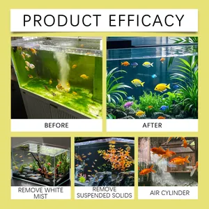 Visual comparison of aquarium water clarity improvement before and after purifying powder