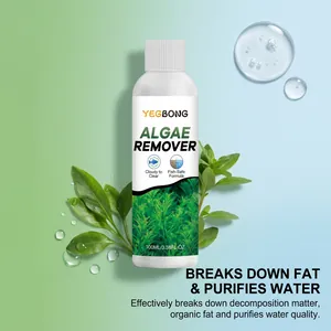 Effective YEGBONG aquarium algae remover 100ml for water purification and clarity.