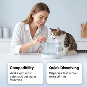 Pastiglie per la pulizia della fontana per gatti in una cucina moderna con un gatto