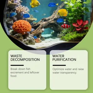 Detail showing aquarium water purification and waste decomposition effects for clarity.