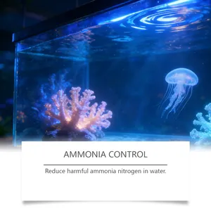 Detail view of aquarium water purifier effect showing ammonia control benefits in tank