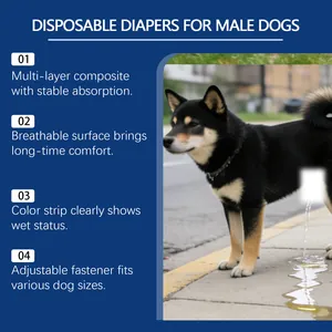 Infographic met vier belangrijke kenmerken van wegwerpluiers voor mannelijke honden