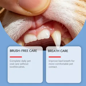 Primo piano dei denti del gatto che mostra i benefici del liquido per l'igiene orale.