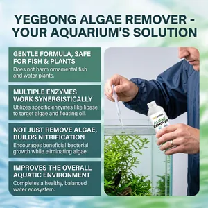 Close-up detail showing the application of YEGBONG algae remover in a planted fish tank