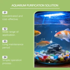 Effective aquarium purification solution results shown with clear water and goldfish