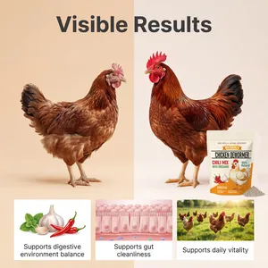Detailed view of natural chicken dewormer powder showing gut health and vitality