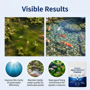 Vorher-Nachher-Vergleich der Gartensteich-Wasserqualität mit HozoneX Aqua Protect Pulver