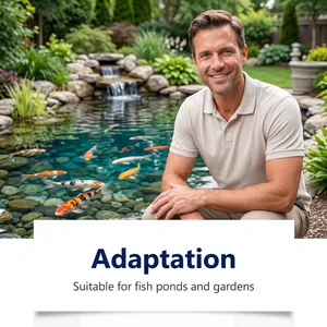 Glücklicher Mann an einem kristallklaren Gartenfischteich mit bunten Koi-Fischen